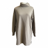 Aerie Turtleneck Sweatshirt Dress (S)