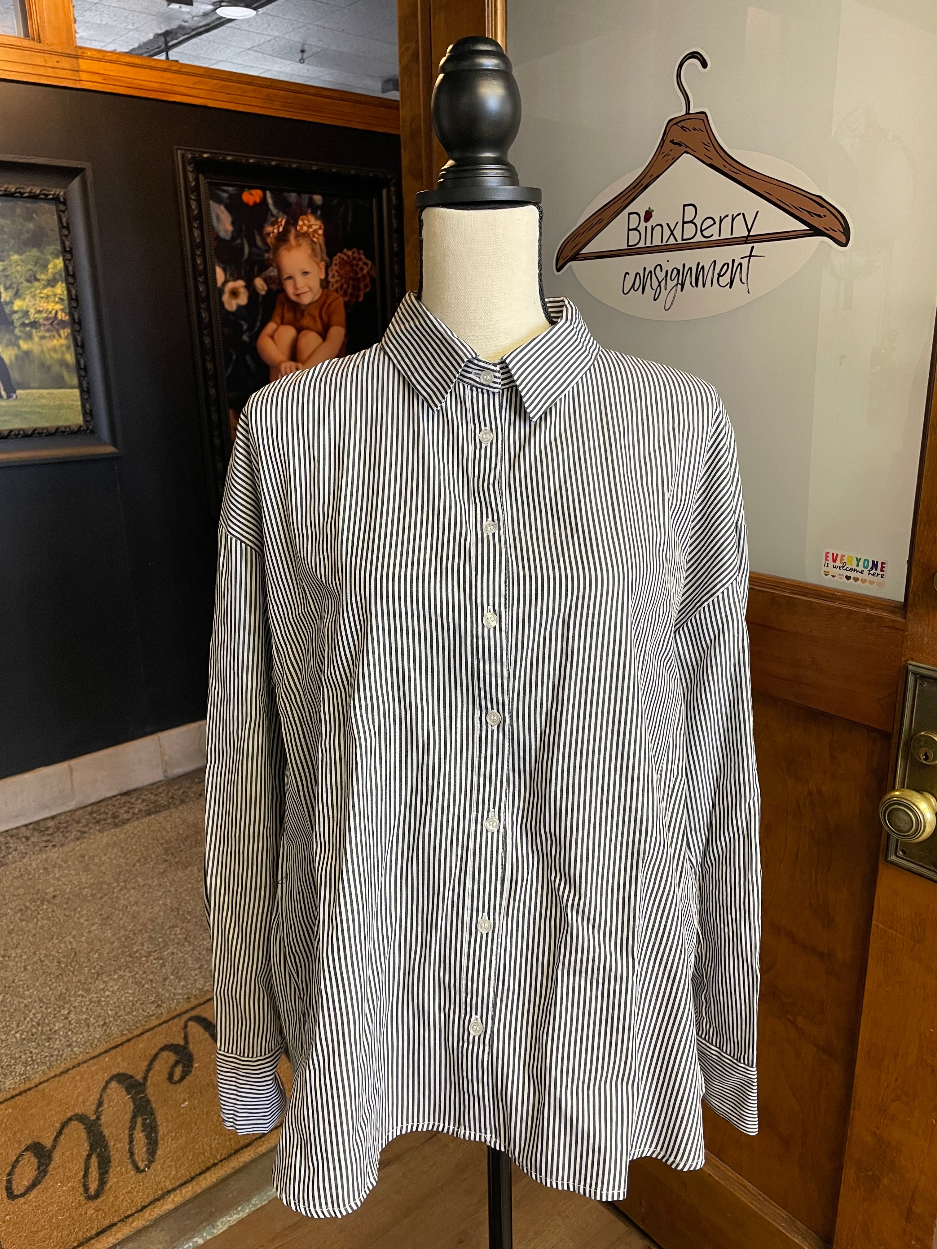 Active USA Women's Pinstripe Blouse (L)