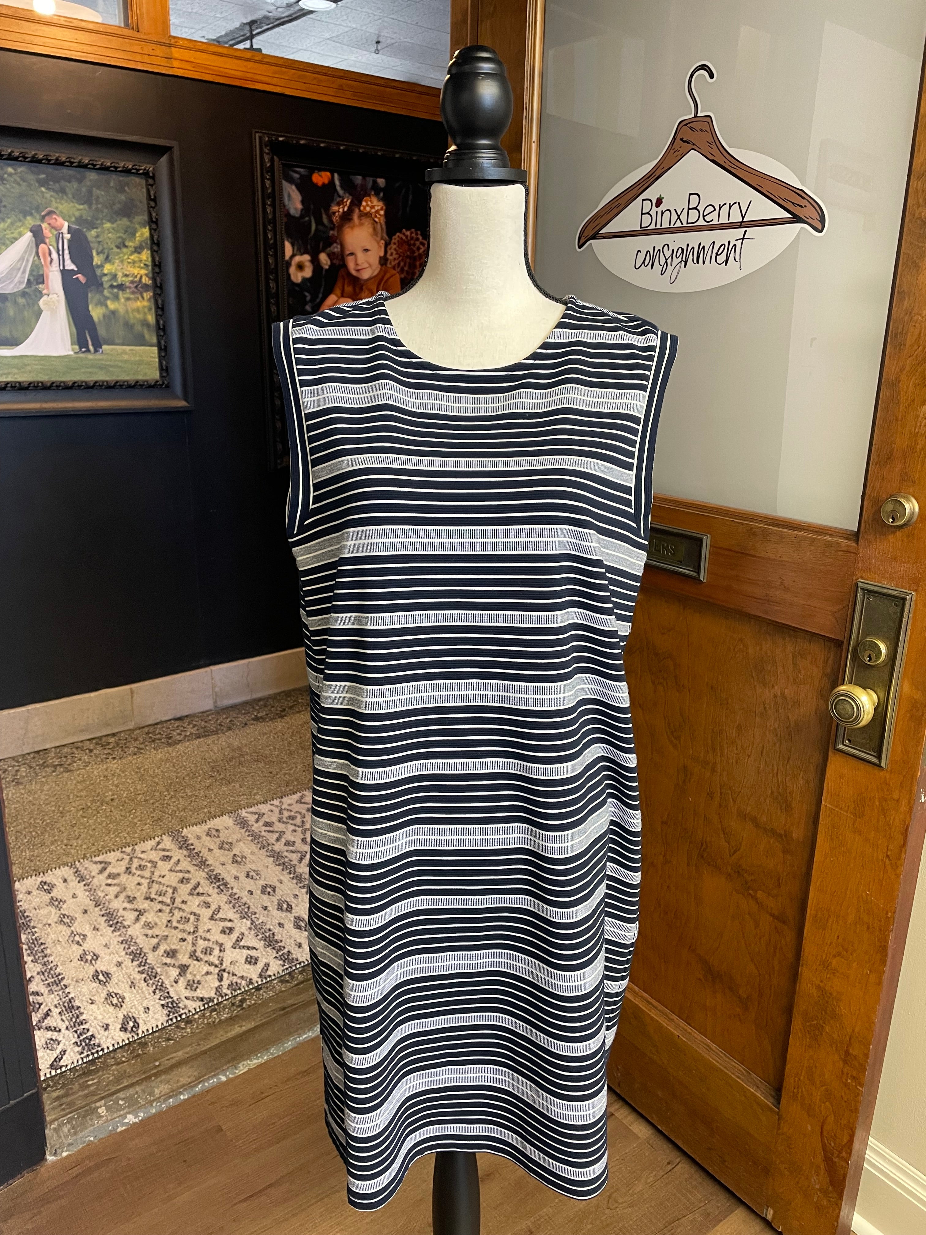 Loft Sleeveless Shift Dress (L)