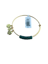 Alex and Ani Frozen Spruce Fine Rocks Bangle