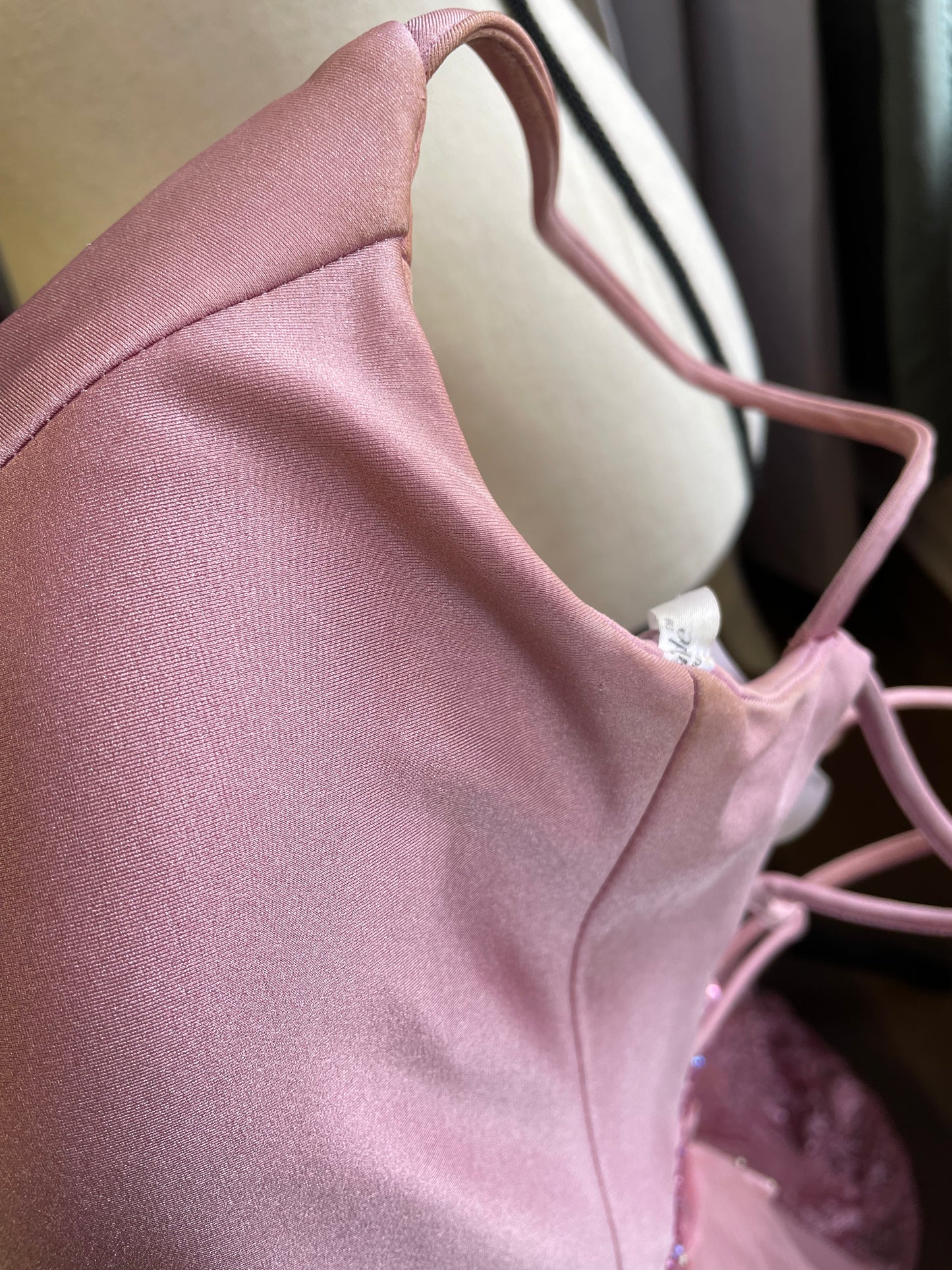 Ellie Wilde Blush Dress (0)