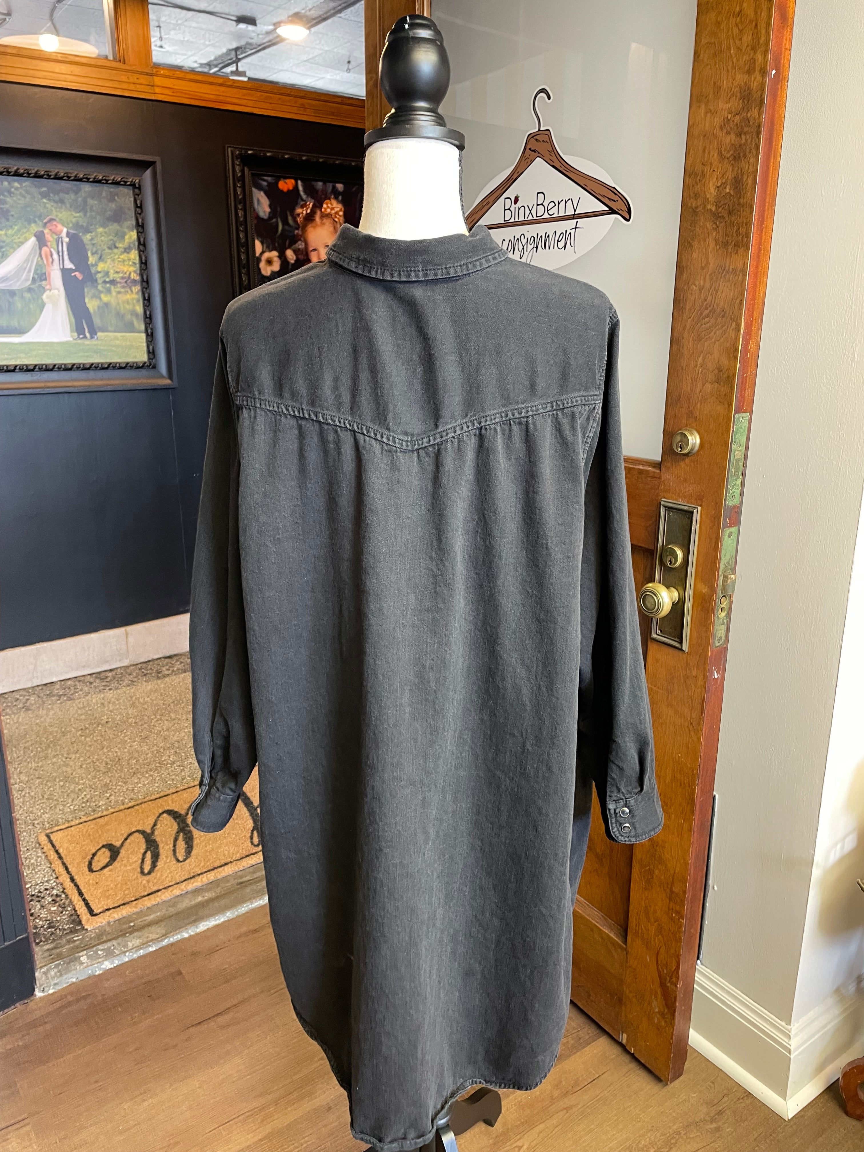 Old Navy Snap Down Western-Style Shirt Dress (2X)