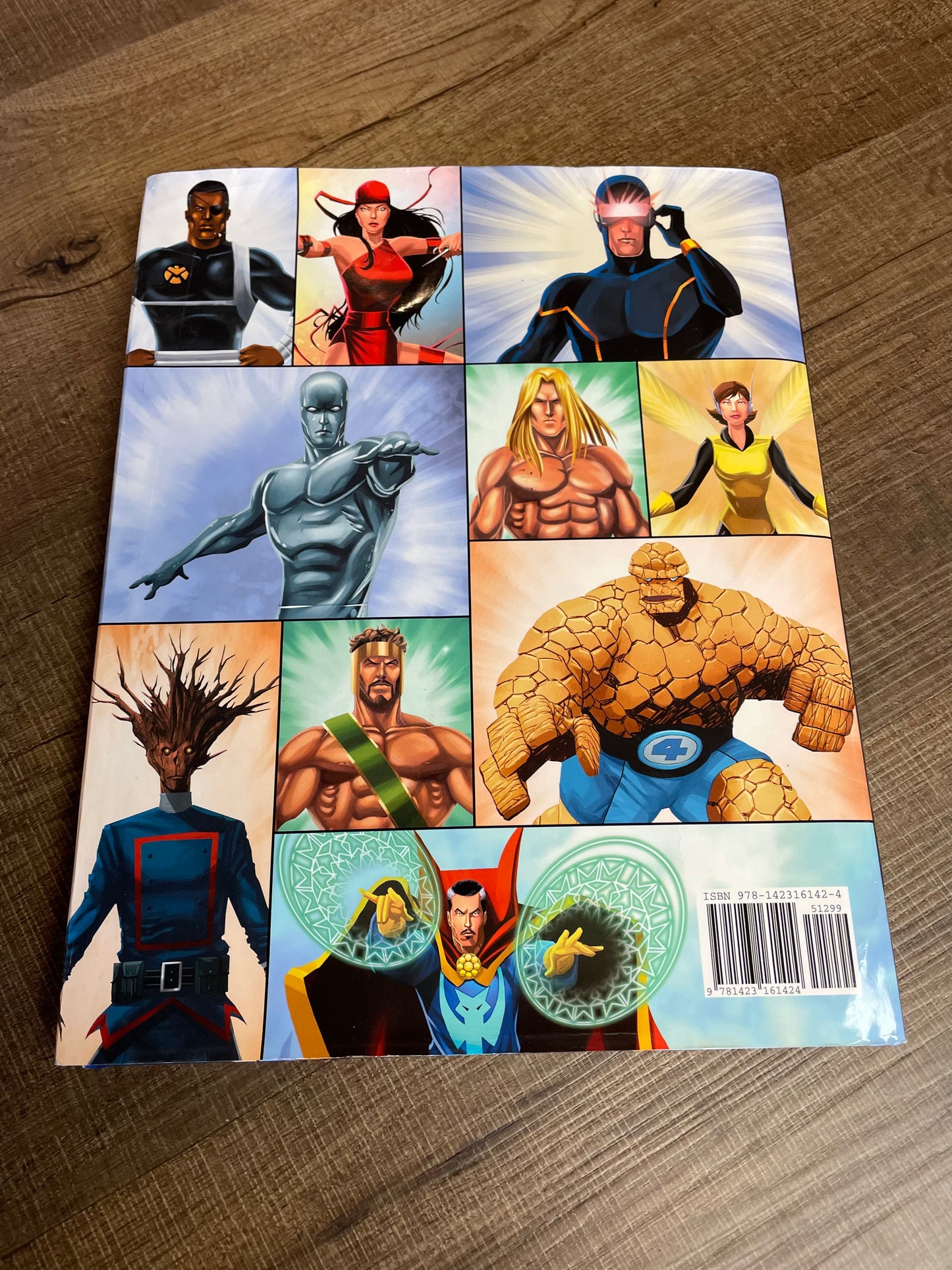 Meet the Marvel Superhero's Hardcover Book