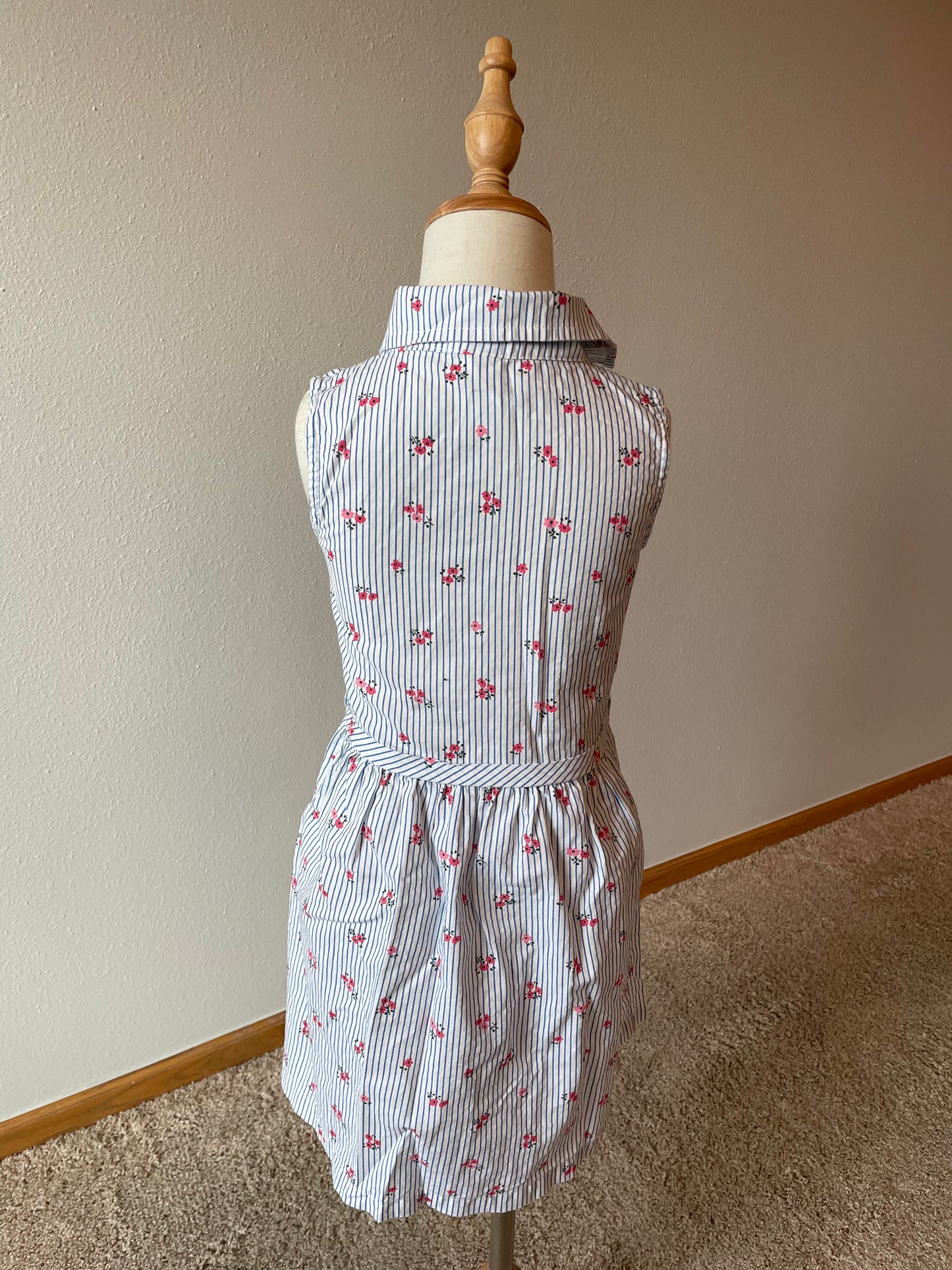 Carter's Kid Sleeveless Tie Dress (6X)