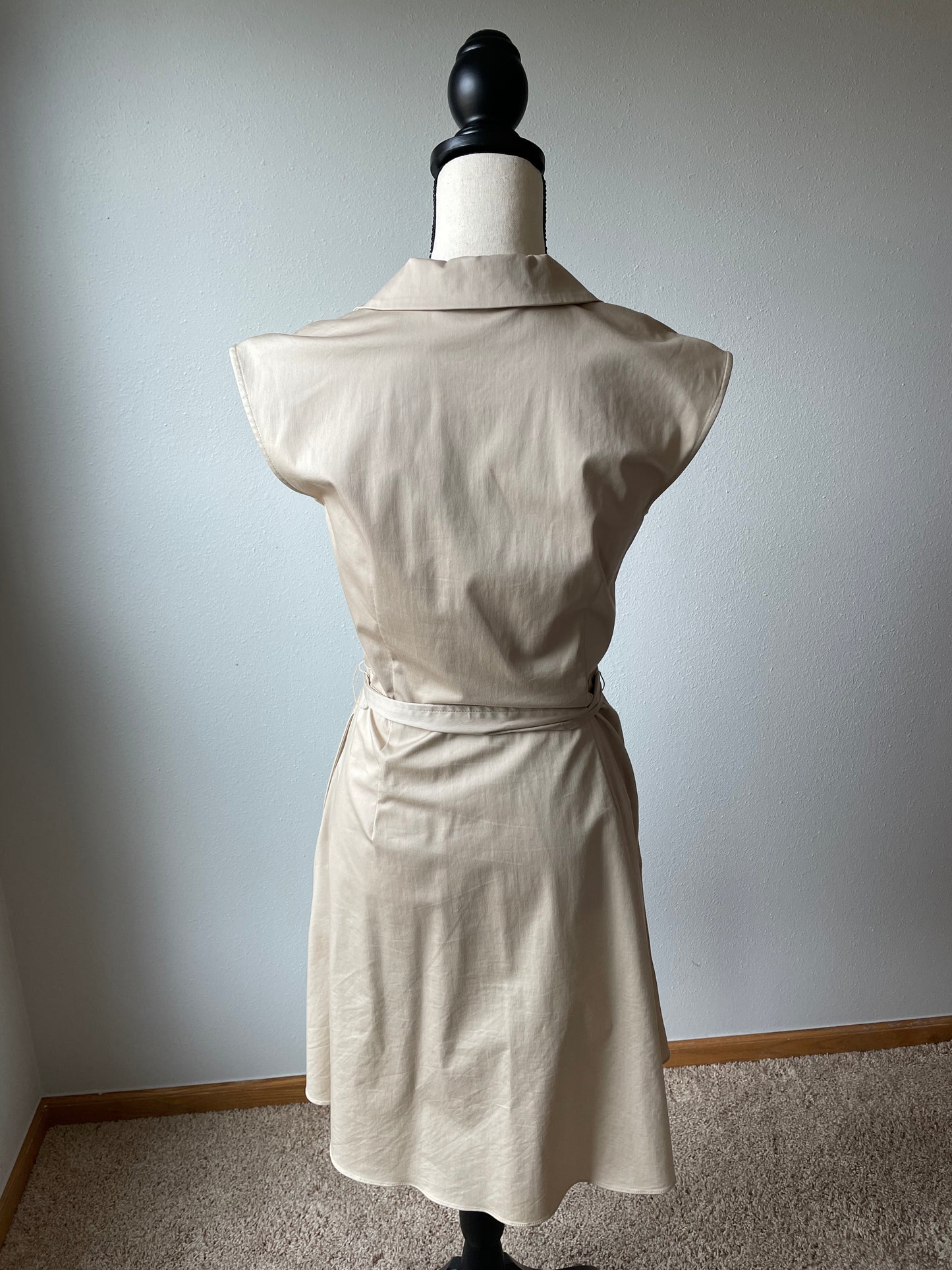 Ann Taylor Collared Tie Waist Dress (2)