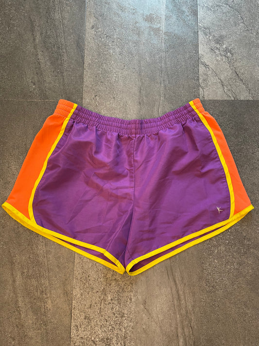 Danskin Now Women's Shorts (L)