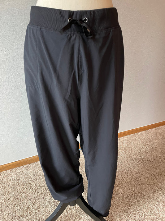 Athleta Lined Joggers (16)
