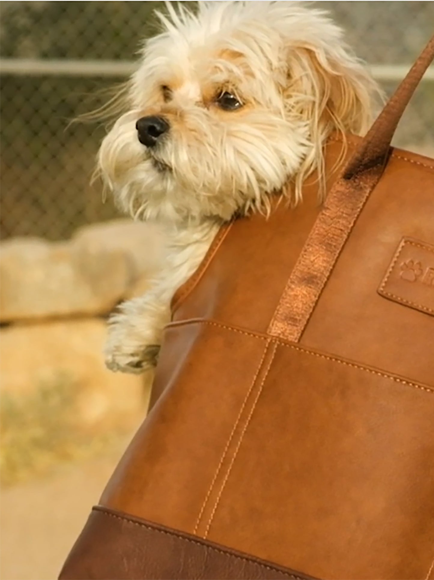 Rufflife NWT Classic Canine Carrier